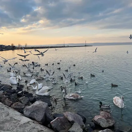 Dorina Wellness Apartman *