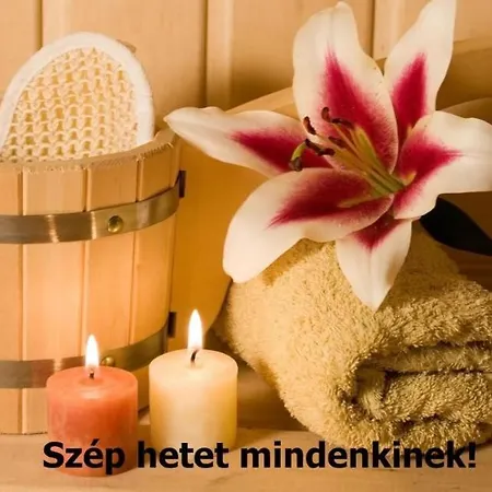 Dorina Wellness Διαμέρισμα Σίοφοκ