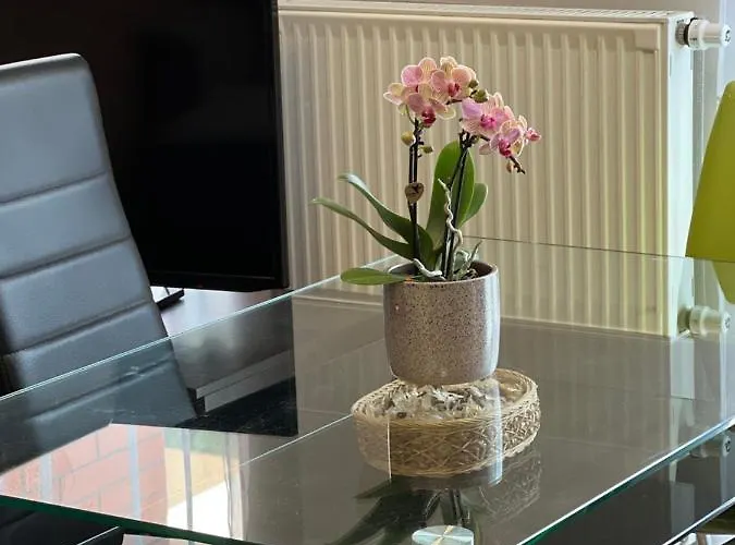 Dorina Wellness Apartman